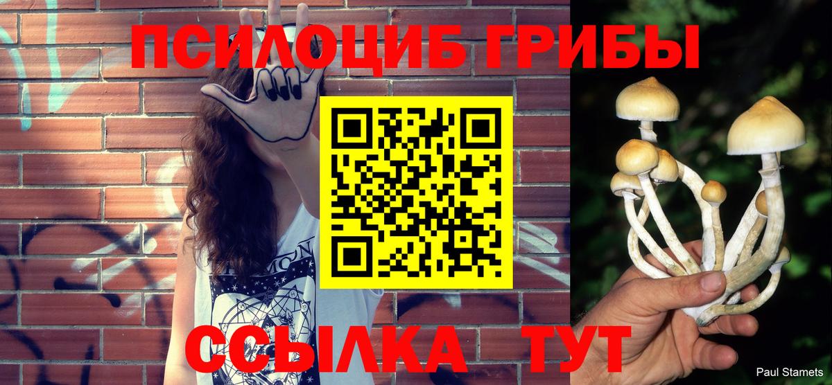 Сальск  Галлюциногенные грибы Magic Shrooms  как найти наркотики  Галлюциногенные грибы Psilocybine cubensis  Вход с VPN 